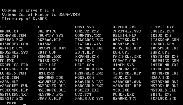 A screen shot of an MS-DOS directory listing